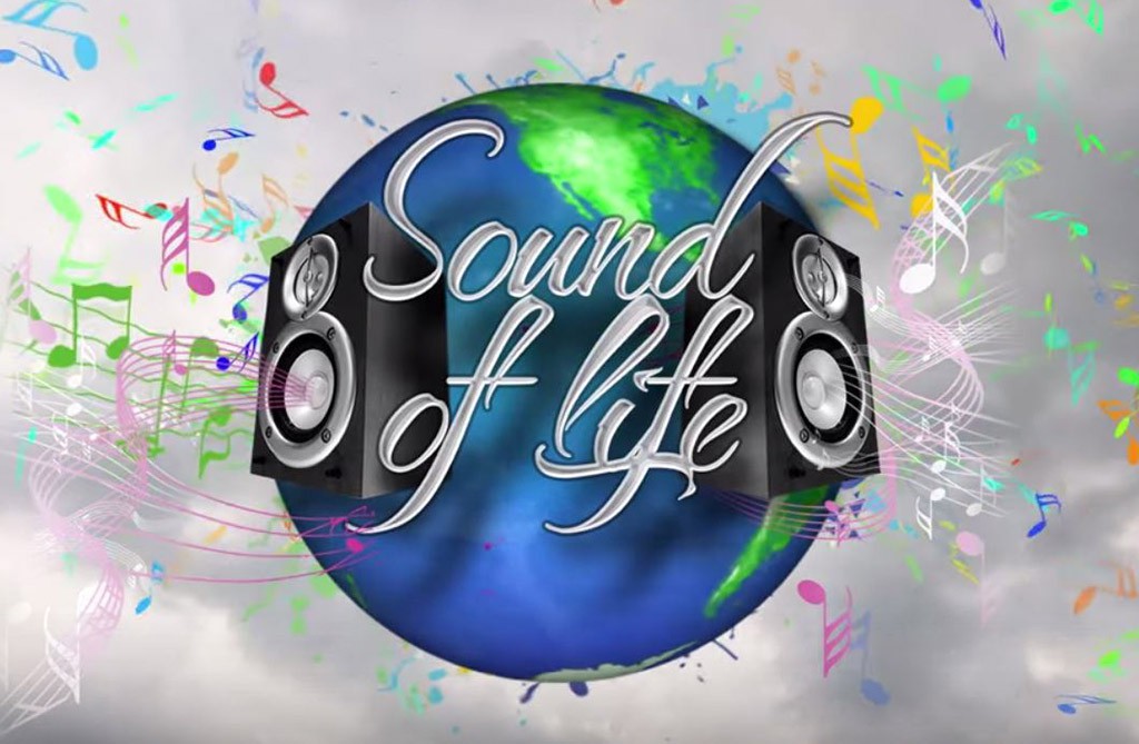 Logo des Benefizkonzertes "Sound of Life"