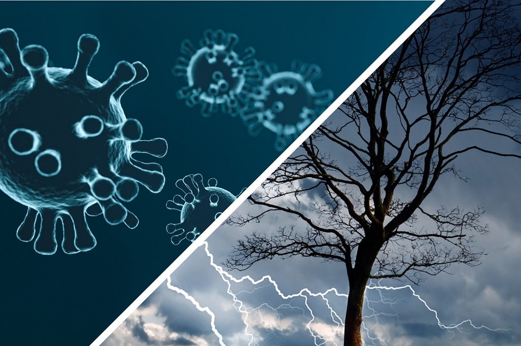 Collage aus einem Bild auf dem Coronaviren zu sehen sind sowie einem Bild auf dem ein Baum mit einem Unwetter im Hintergund sichtbar ist.