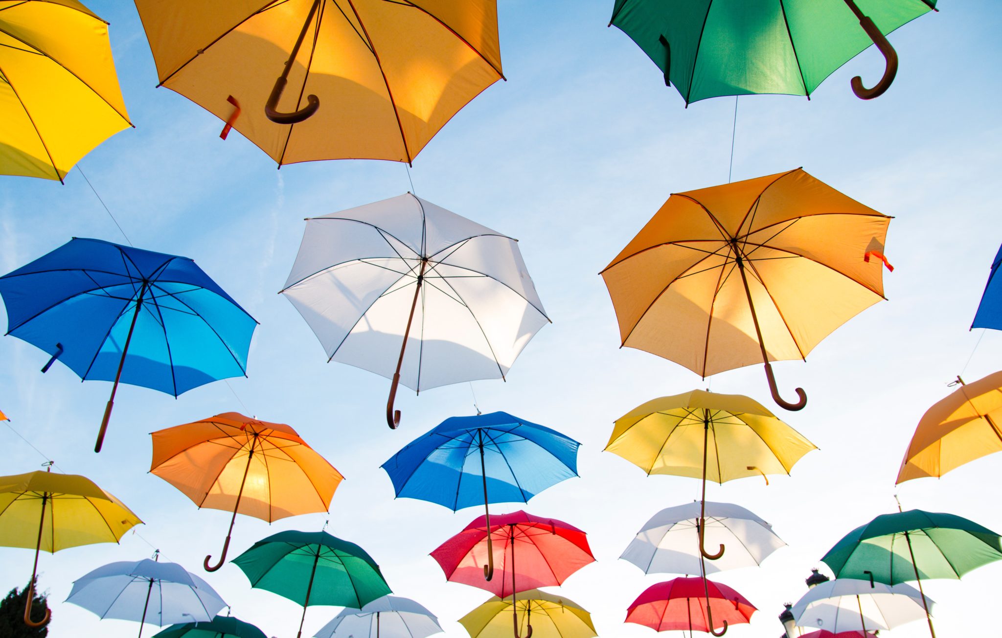 Regenschirm-Schutzschirm