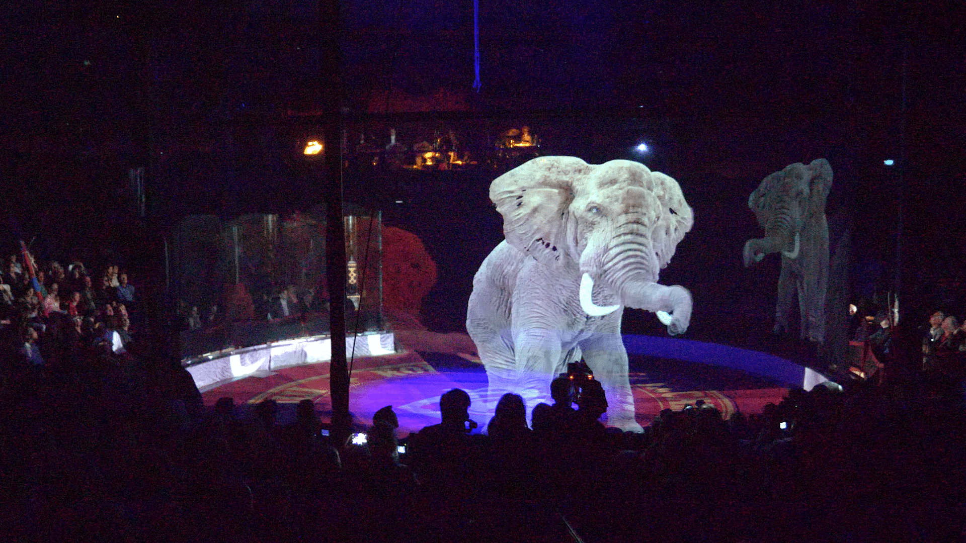Circus Roncalli Elefant