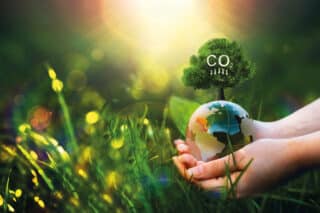 CO2, grüne Wiese